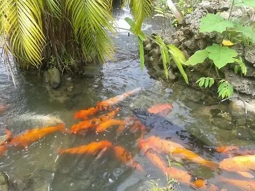 *** ホテル Enchanted Waters Tobago Buccoo トリニダードトバゴ